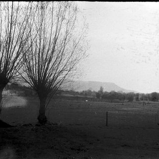 Rural landscape with leafless trees and distant hills.