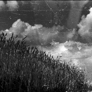 Dramatic storm clouds over tall grass.