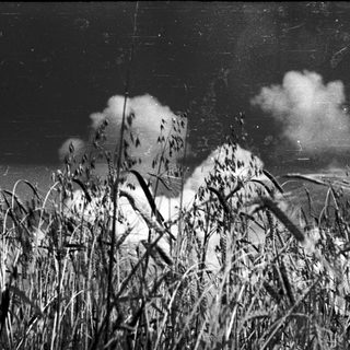 Silhouette of person standing in tall grass under night sky.