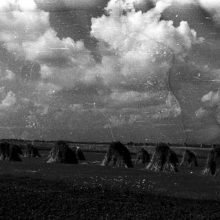 Haystacks lined up in a field under cloudy sky.