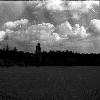 Serene landscape with forest, lake, and dramatic clouds.