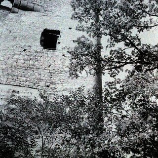 Ancient stone wall with aged bricks and tree.