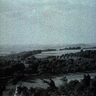 Rural landscape with snow-covered fields and trees.