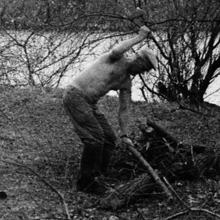 Person clearing fallen branches near riverbank.