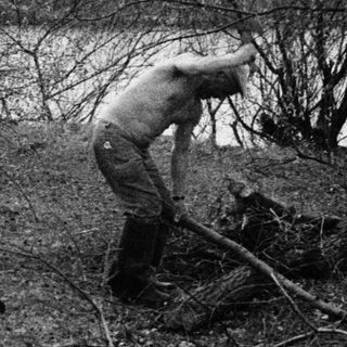 Person clearing fallen branches near water.