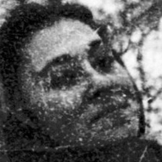 A person sitting alone in a barren, wintry forest.