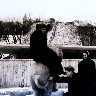 Two men interacting with a polar bear, winter setting, enclosed area.