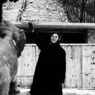 Circus performer balances on elephant with woman watching.