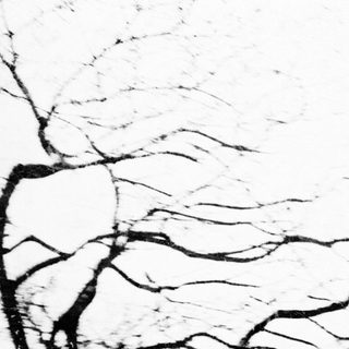 Dried, cracked riverbed or mud surface.