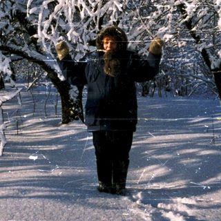 Person walking through snow-covered forest.