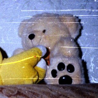 Cute kitten snuggled with stuffed banana toy and teddy.