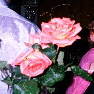 Child holding flowers with adult in background.