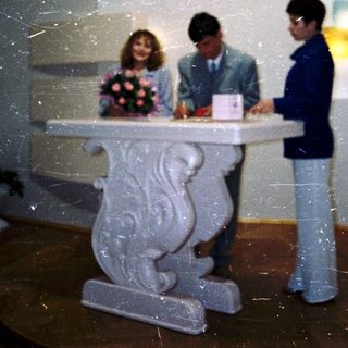 Wedding ceremony with bride, groom, and officiant.