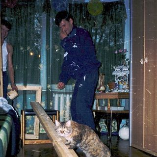 Flooded room with people and cat on makeshift bridge.