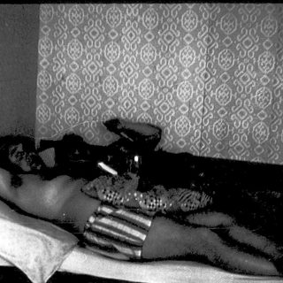Person lying on bed with cat.