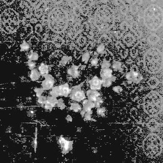 Dark, intricate patterned fabric with snowflake-like frost.