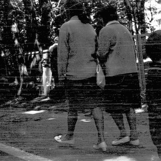 Blurred outdoor scene with people walking near trees.