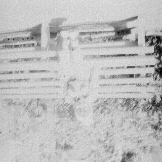 Snow-covered bridge with railings and trees.