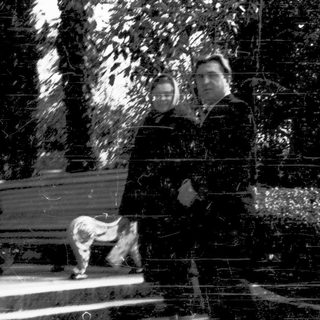 Person feeding dog near park bench.
