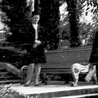 Person feeding dog near park bench.