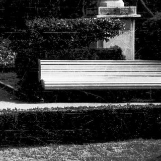 Two women walking together in a park.