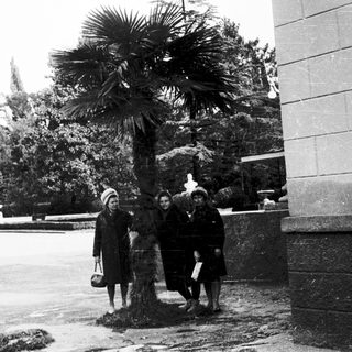 Four people posing outdoors near palm tree.