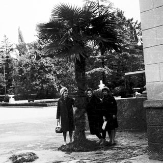 Four people posing outdoors near palm tree.