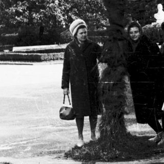 Four people posing outdoors near palm tree.