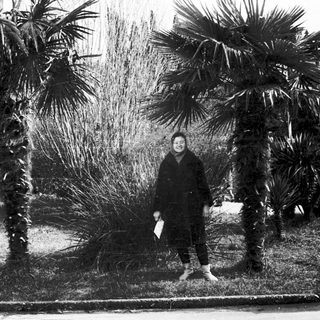 Person standing near palm trees in urban park.