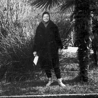 Person standing near palm trees in urban park.