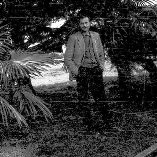 Man standing outdoors in garden setting.