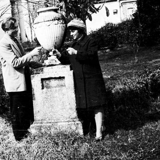 Two people planting a small tree together outdoors.