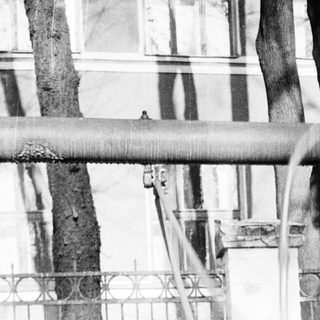 Blurry image of a horse hanging from a swing.