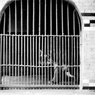 Prison cell with barred window and solitary figure inside.