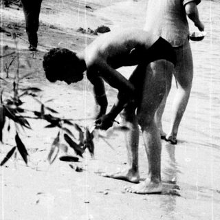 People fishing and wading near a riverbank.