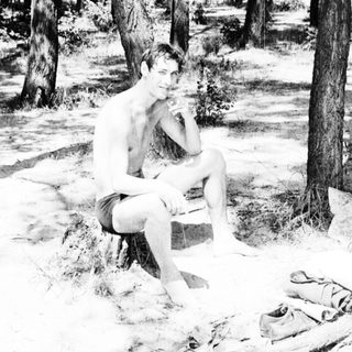 Shirtless man sitting on tree stump outdoors.