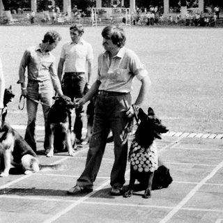 People training dogs on marked running track.