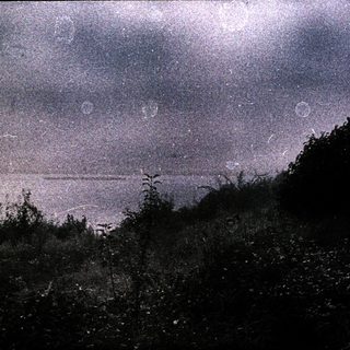 Night sky with stars over distant horizon.