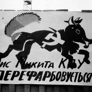 Poster depicting fox and bull with text urging "Fox Nikita Kvyu to change."