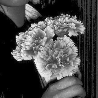 Woman in traditional attire holding flowers indoors.