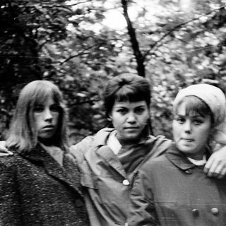 Three young women posing together outdoors in forest.