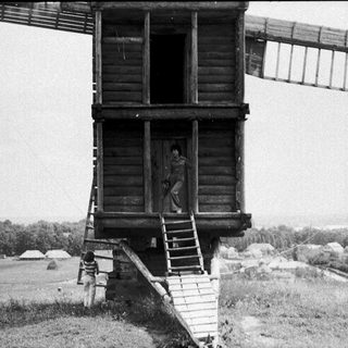 Rustic wooden tower house with elevated staircase.