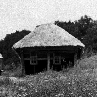 Woman holding large umbrella in rural outdoor setting.
