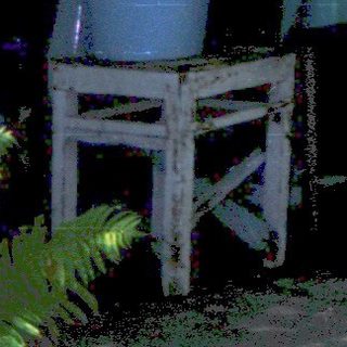 People washing dishes outdoors in backyard.