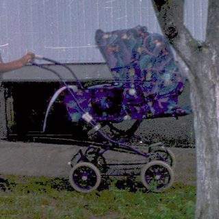 A person pushing a stroller in an outdoor area.