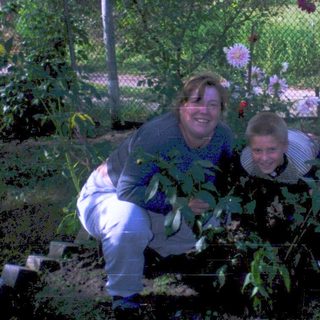 Three people gardening outdoors among plants.