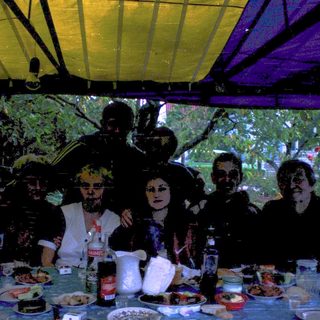 Group of people dressed in costumes at an outdoor party.