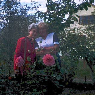 Two elderly women admiring garden roses together.