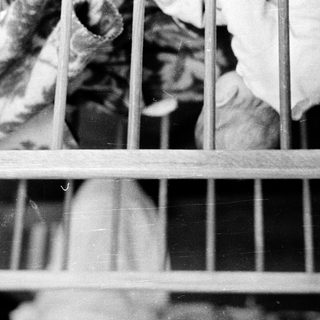 A cat peering through a cage or gated area.