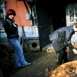 Butchering cow outdoors with onlookers nearby.